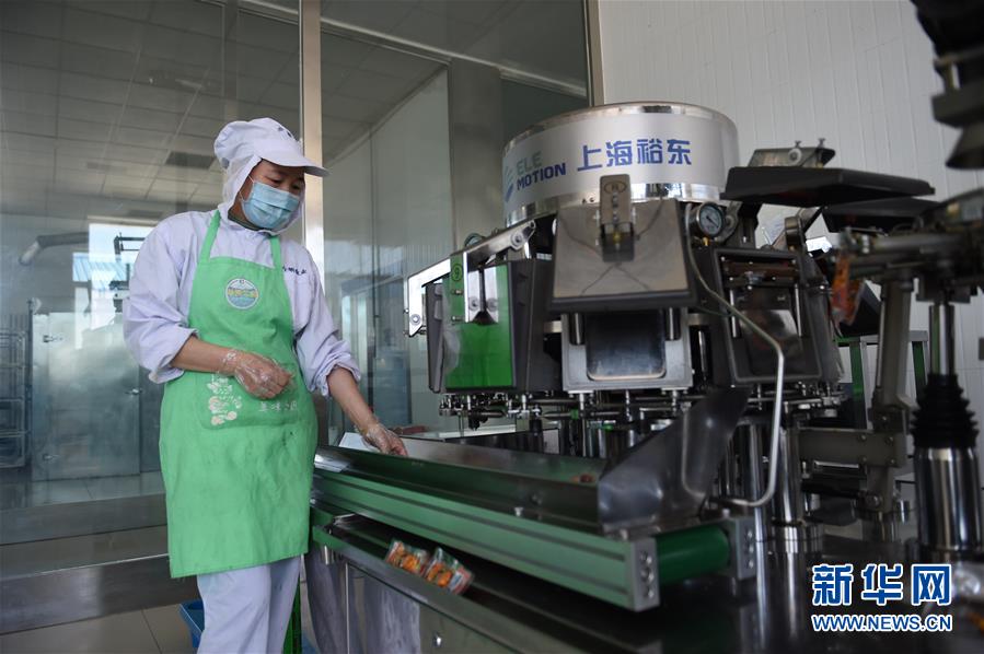 (在習近平新時代中國特色社會主義思想指引下——新時代新作為新篇章·習近平總書記關切事·圖文互動)(8)穩住千家萬戶的“飯碗”——各地積極穩就業化解疫情影響