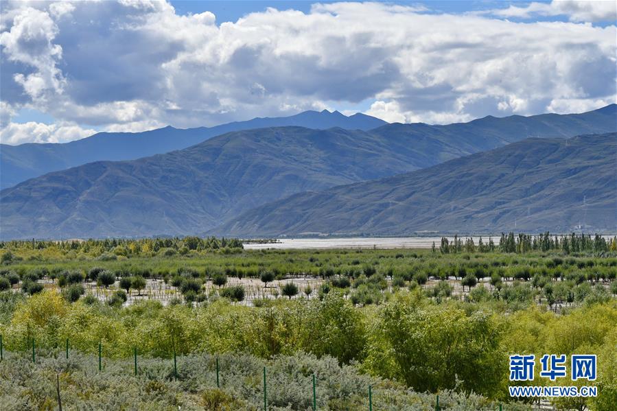 （圖文互動）（4）“今天的生活，就像夢里夢到那樣甜”——寫在西藏百萬農奴解放61周年之際