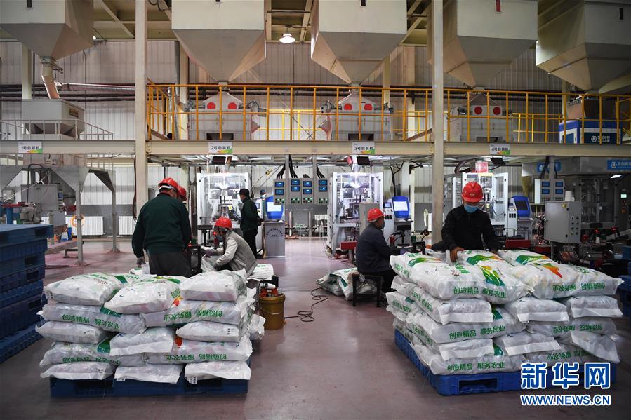 (抓好春耕備耕 穩住農業生產·圖文互動)(3)走向泥土是我們的終極夢想——一粒種子的自述