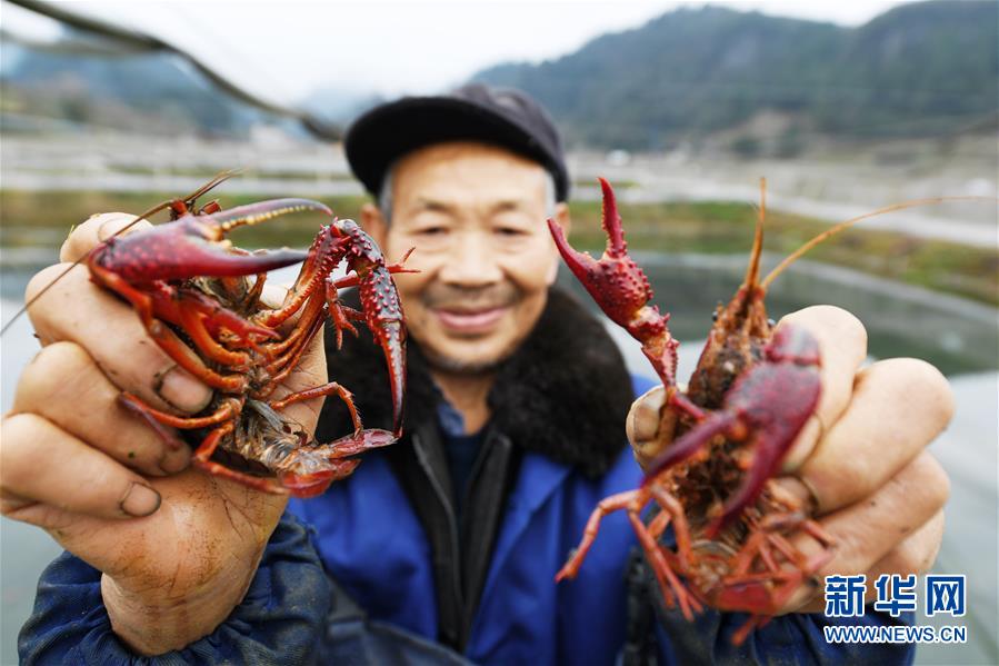 (決戰決勝脫貧攻堅·圖文互動)(7)多重保障 不漏一人——貴州一個脫貧“摘帽”縣的防貧機制探索