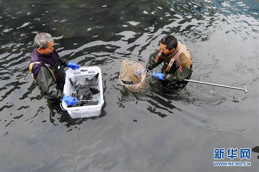 (決戰決勝脫貧攻堅·圖文互動)(6)多重保障 不漏一人——貴州一個脫貧“摘帽”縣的防貧機制探索