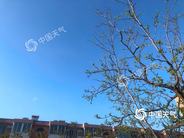 陣風8級！北京遭遇雨后大降溫 北風勁吹需添衣