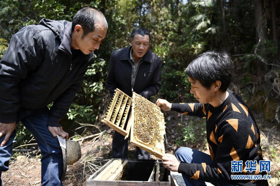 (決戰決勝脫貧攻堅·圖文互動)(5)一位農民的產業扶貧成績單