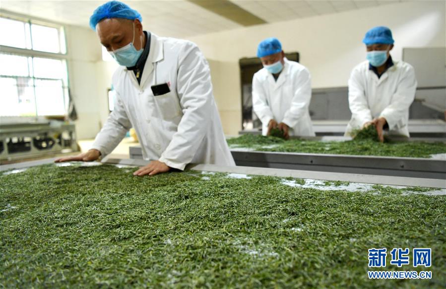 （新華全媒頭條&middot;圖文互動）（22）從人民中汲取磅礴力量&mdash;&mdash;習近平總書記同出席2020年全國兩會人大代表、政協委員共商國是紀實