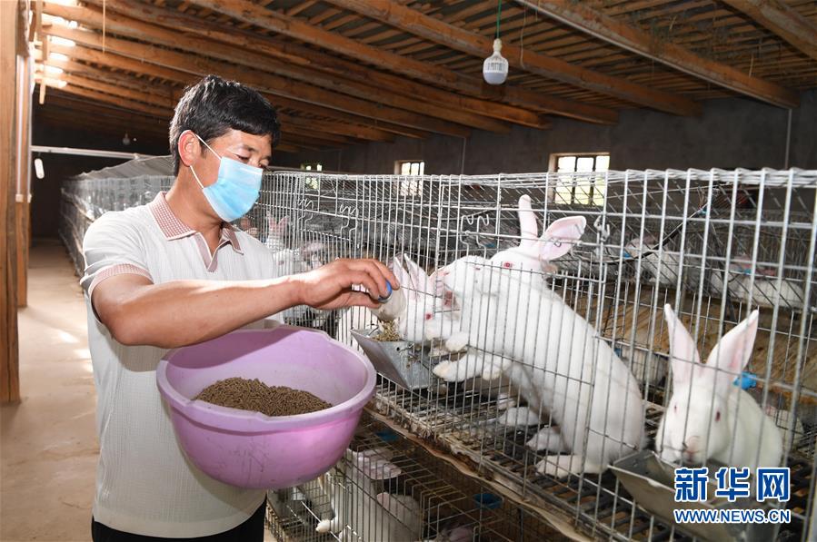 (決戰決勝脫貧攻堅·聚焦三區三州·圖文互動)(5)鄉村“熱點”在轉移