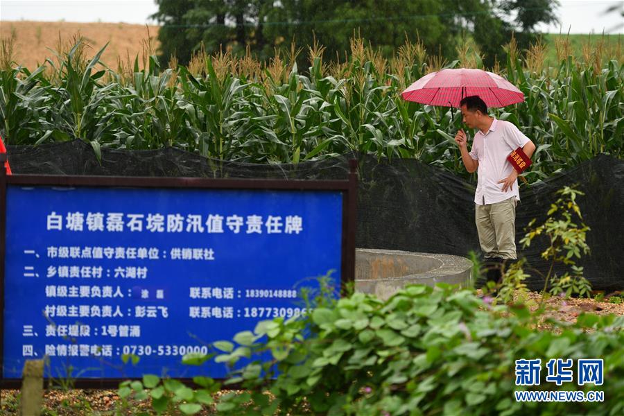 （防汛抗洪·圖文互動）（1）“險情不可怕，可怕的是不能及時發現險情”——洞庭湖巡堤查險現場直擊