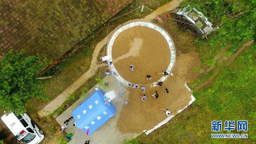 （防汛抗洪·圖文互動）（2）“險情不可怕，可怕的是不能及時發現險情”——洞庭湖巡堤查險現場直擊