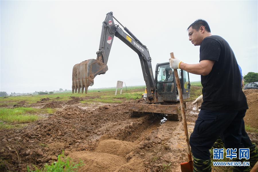 （防汛抗洪·圖文互動）（3）“險情不可怕，可怕的是不能及時發現險情”——洞庭湖巡堤查險現場直擊