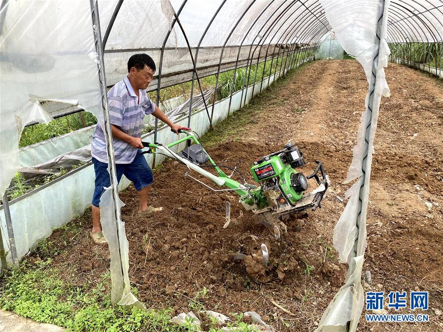 (防汛抗洪·圖文互動)(3)修路通水忙重建 補種搶收復生產——湘西山洪后恢復生產生活見聞