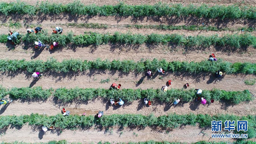 (走向我們的小康生活·圖文互動)(7)西海固換了新模樣