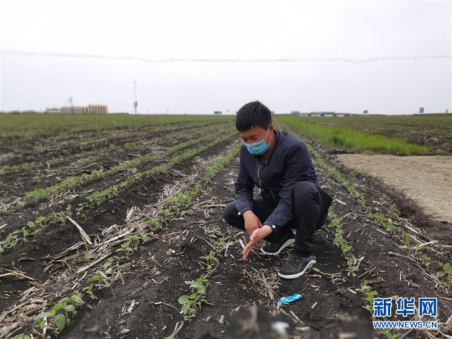 (在習近平新時代中國特色社會主義思想指引下——新時代新作為新篇章·習近平總書記關切事·圖文互動)(4)讓百姓吃得飽還要吃得好——夯實糧食安全基礎端牢中國飯碗
