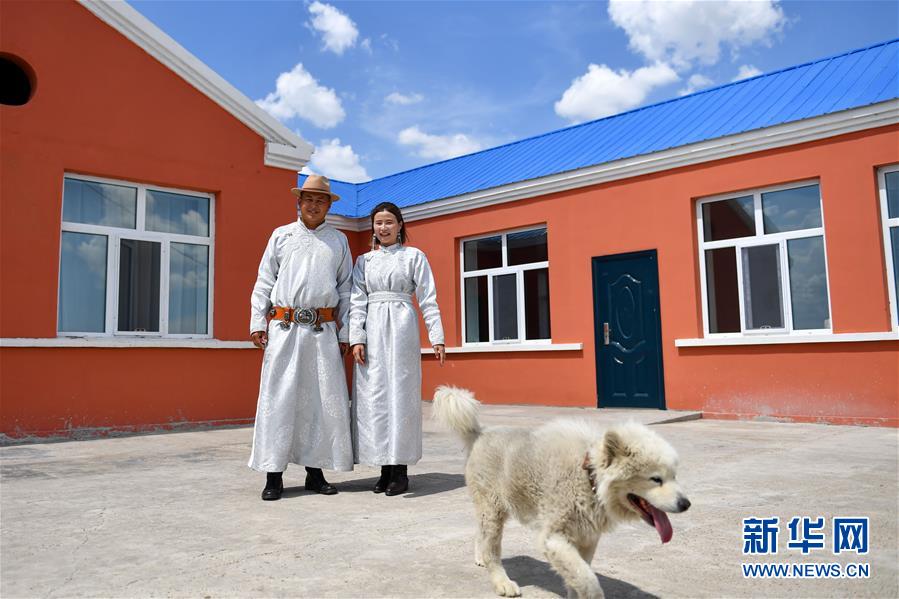 （走向我們的小康生活·圖文互動）（6）草原有了網，手機能放羊——看呼倫貝爾大草原牧民生活變了樣 