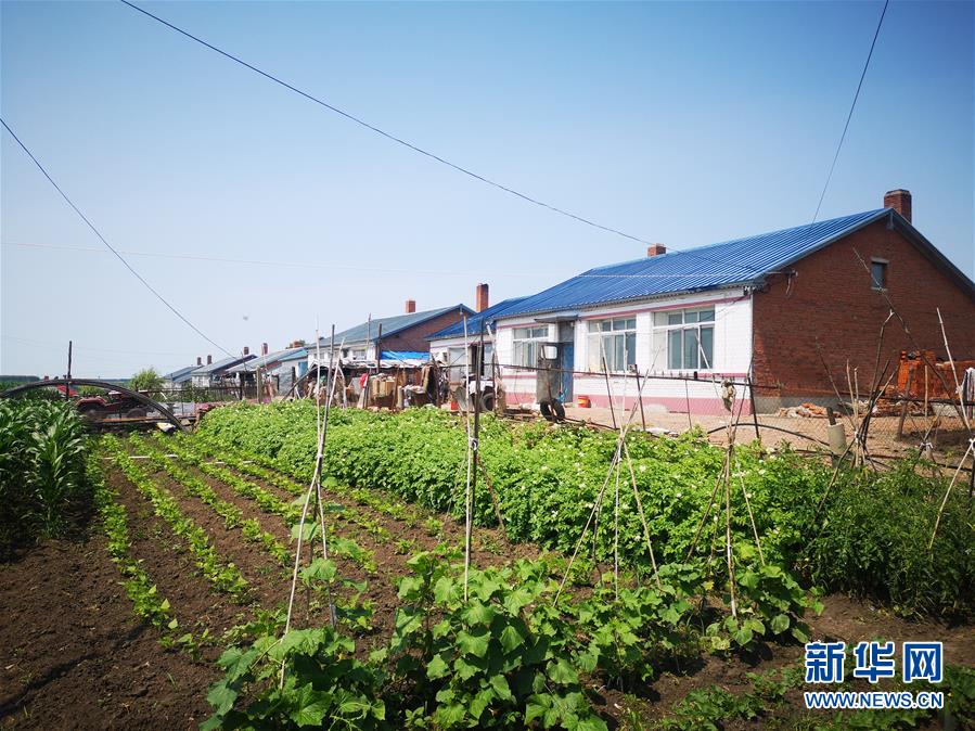 (決戰決勝脫貧攻堅·圖文互動)(2)“水通”“路通”促“心通”——黑龍江脫貧攻堅一線見聞