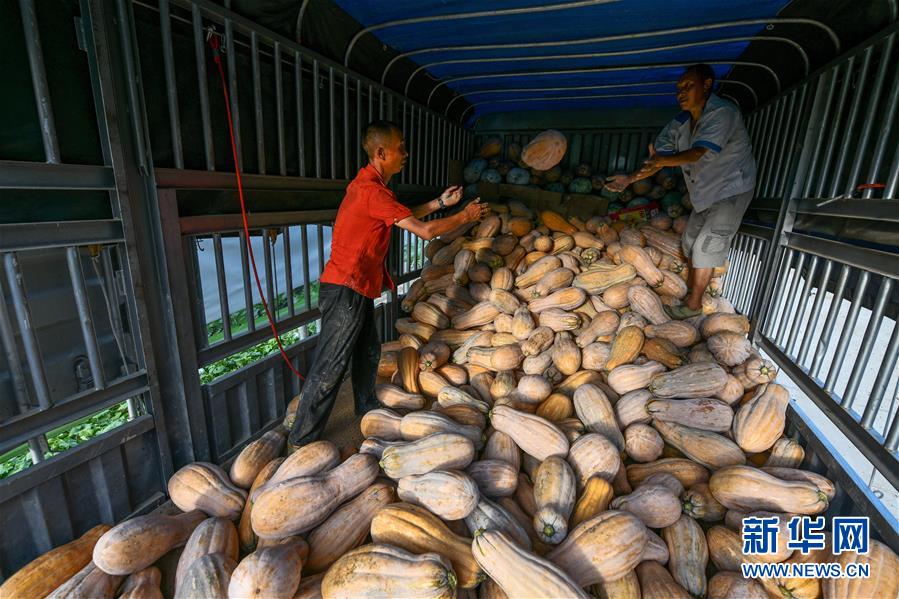 (決戰決勝脫貧攻堅·圖文互動)(7)“草鞋村”的致富經