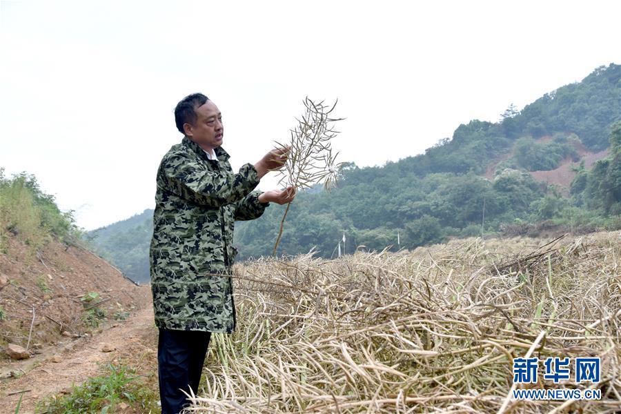 （代表委員履職·圖文互動）（1）“我是農民代表，始終關注農村”——全國人大代表沈昌健的履職故事