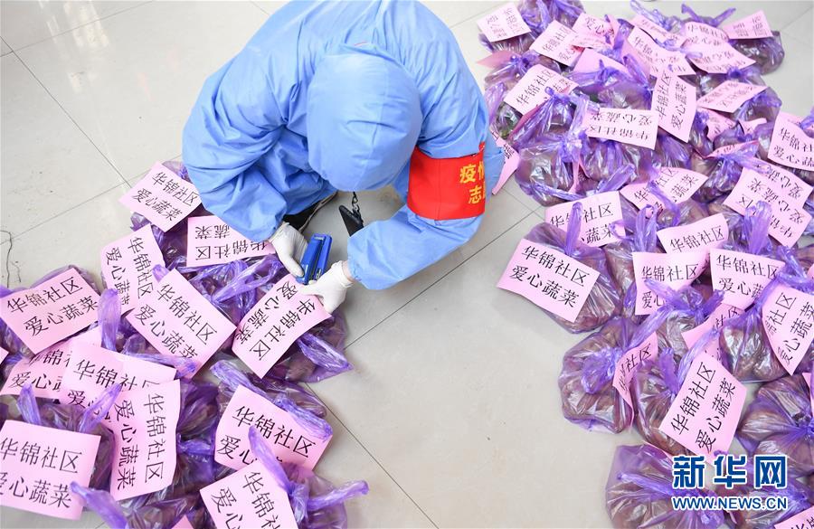 （習近平致敬的戰“疫”英雄·志愿者篇·圖文互動）（11）他們，微光成炬照征程