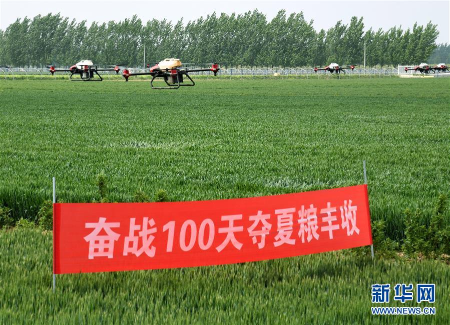 （在習近平新時代中國特色社會主義思想指引下——新時代新作為新篇章·習近平總書記關切事·圖文互動）（9）新農事、新希望——夏收前田間新動態掃描