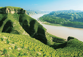 張建龍：“三北工程”實現生態、經濟、社會效益“多贏”