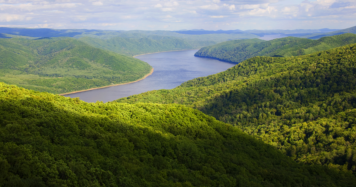 張建龍：“三北工程”實現生態、經濟、社會效益“多贏”