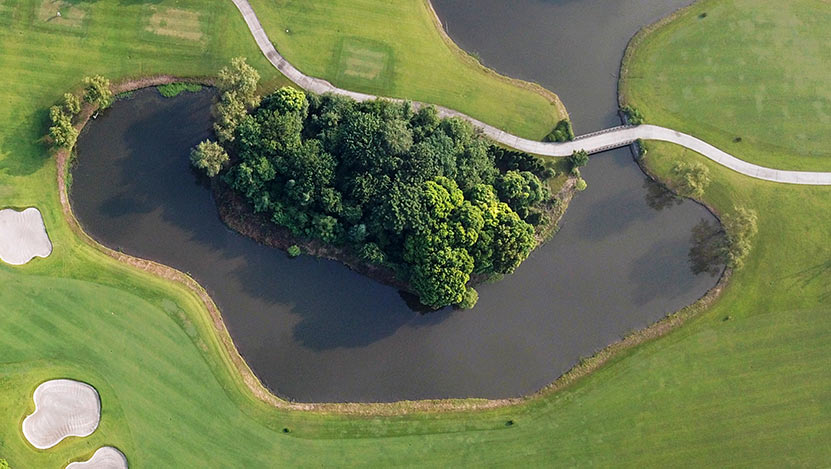 打造經濟高質量發展的強勁引擎