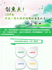 劃重點！2019年中央一號文件中的硬任務怎么干