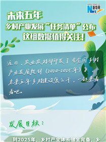 未來五年鄉村產業發展“任務清單”公布 這組數據值得關注！
