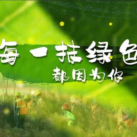 千年秀林，每一抹綠色都因為你