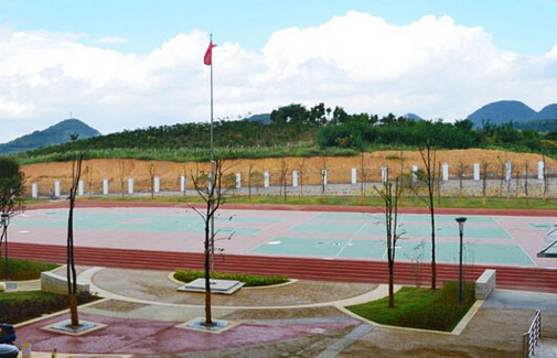 武漢中法合作逐步深入 首所法國國際學校成立