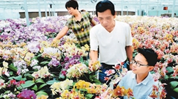 臺商眼中的改革開放：風景這邊獨好 要去，要去，要去！
