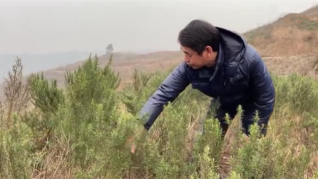 新春走基層｜脫貧后，駐村扶貧隊長在干啥？