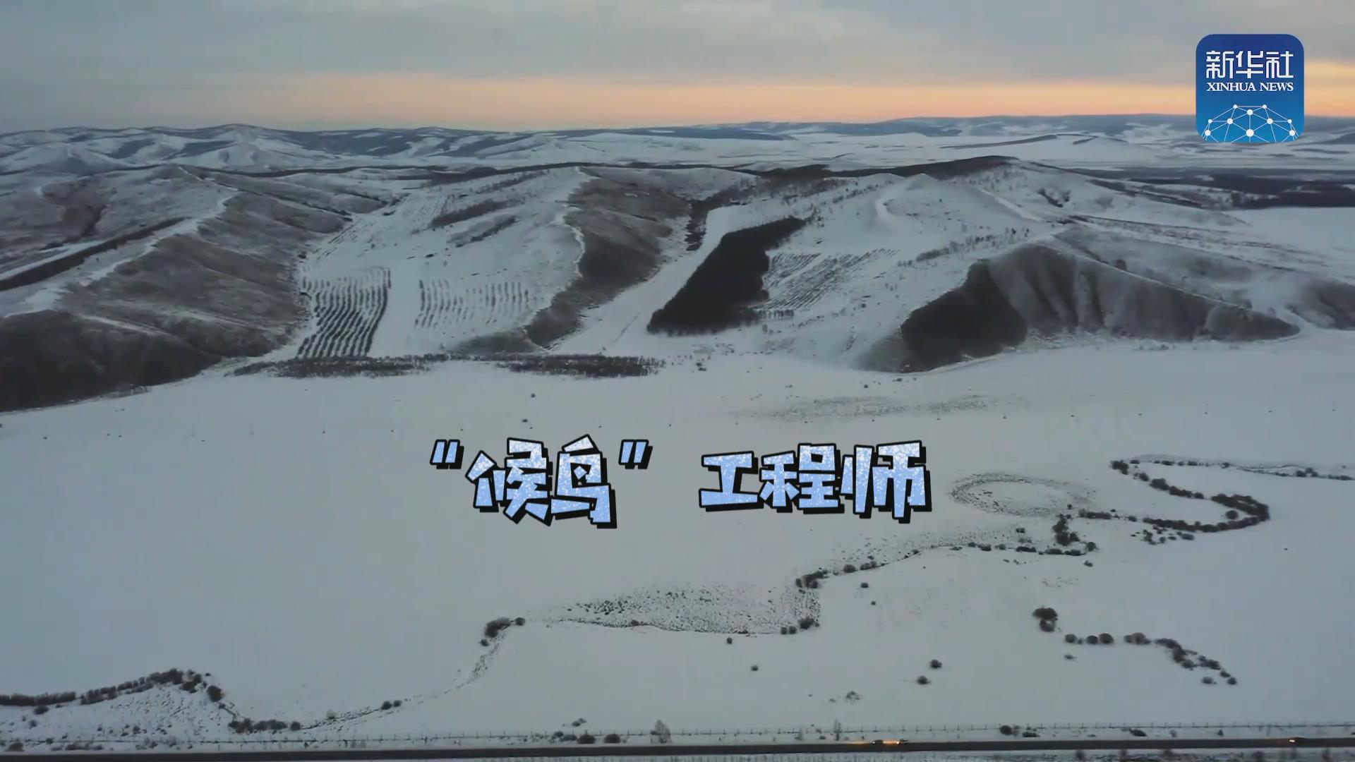 我們在奔跑丨一路向北！他是逆行的“候鳥”