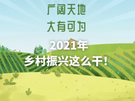 廣闊天地 大有可為 2021年鄉村振興這么干！
