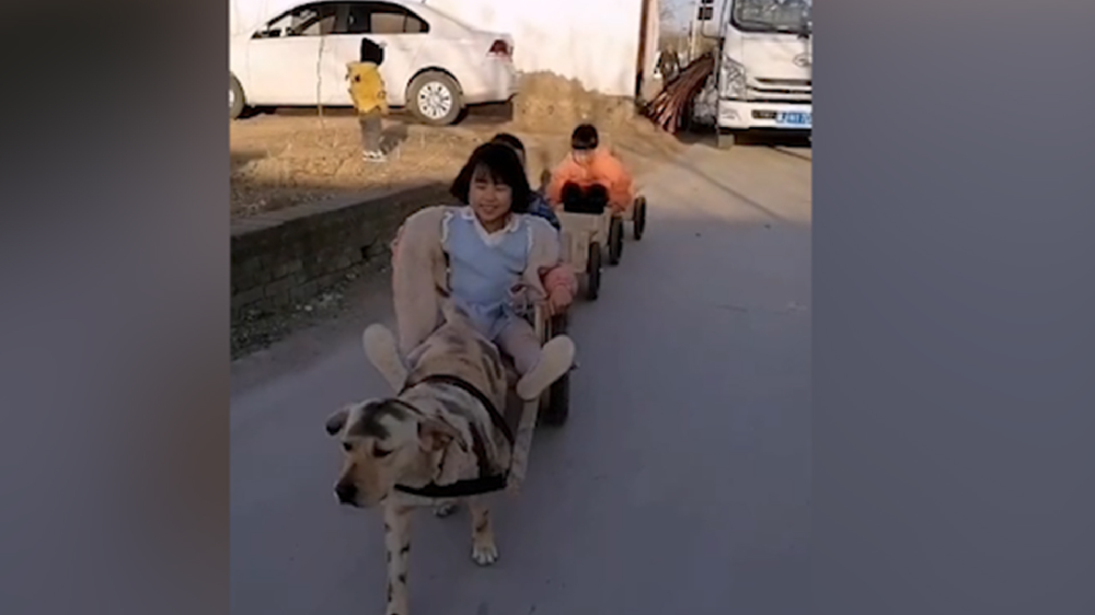 男子給孩子做縮小版小火車，家里的狗狗做動力拉著孩子上學