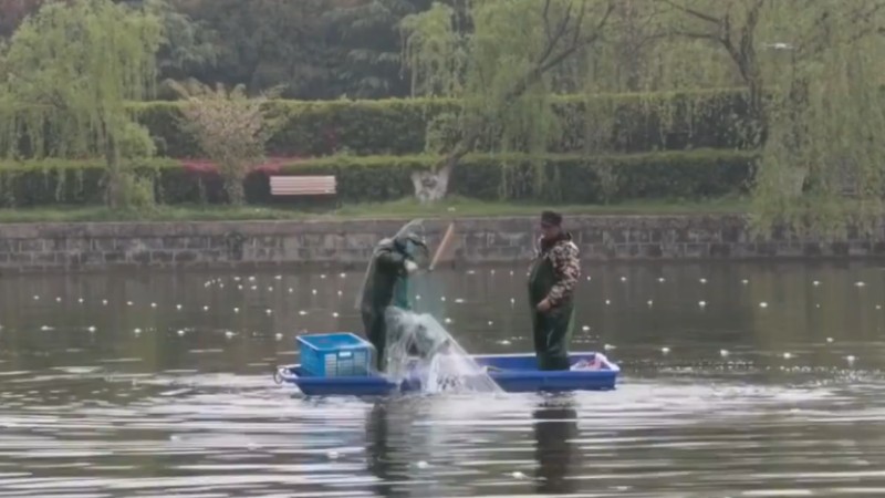 別人家的學校！安師大請師生吃一萬斤魚
