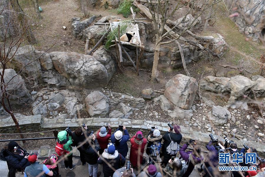 (國際·圖文互動)(6)中美建交四十年 一路風雨總向前