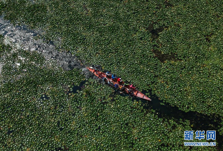 （國際·年終報道）（8）2019，精“彩”紛呈