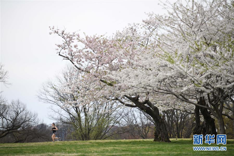 (國際疫情)(3)約翰斯·霍普金斯大學:美國新冠肺炎確診病例超10萬例