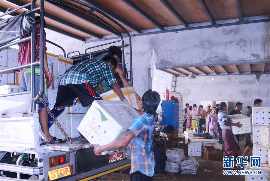 (新華全媒頭條·圖文互動)(7)中國—東盟自貿區:“黃金十年”塑造世界經貿新格局