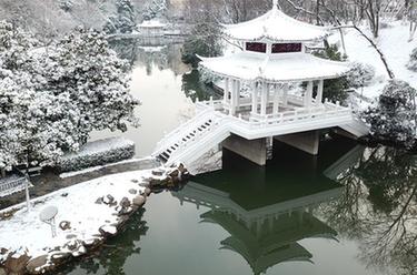 合肥:環城公園雪景美